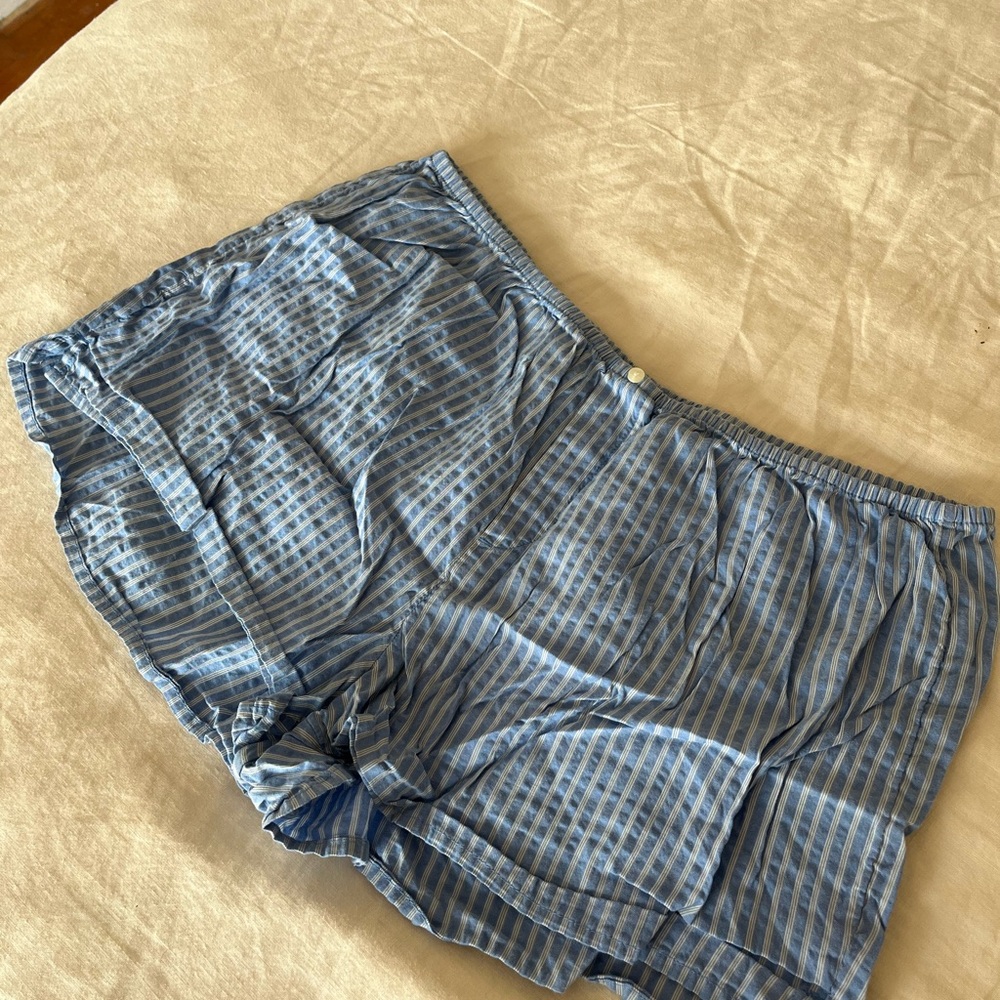 Aerie blue striped boxer shorts